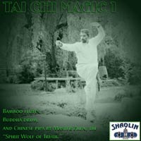 TAI CHI MAGIC 1 album cover by Buddha Zhen